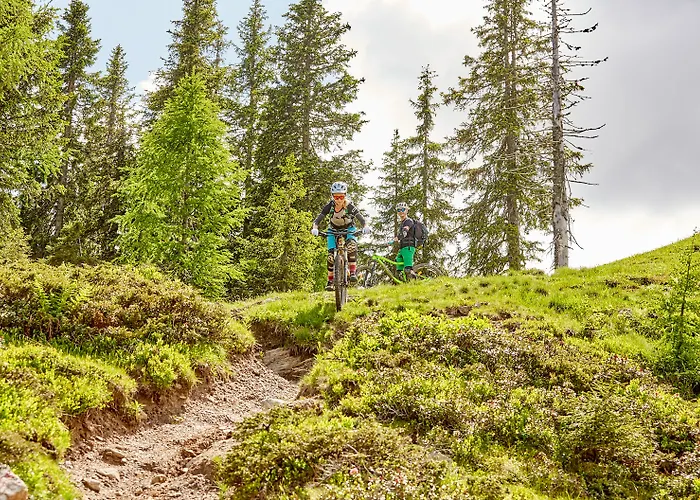 Arena Franz Ferdinand Nassfeld 4* Tröpolach